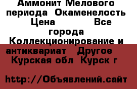 Аммонит Мелового периода. Окаменелость. › Цена ­ 2 800 - Все города Коллекционирование и антиквариат » Другое   . Курская обл.,Курск г.